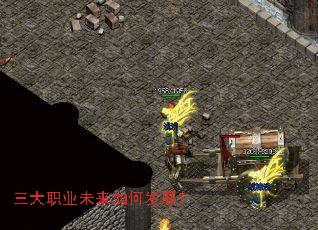 ����ְҵδ����η�չ��