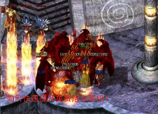 ��ο�����������ݵ�ȼ���