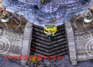 ��ο�����������ݵ�ȼ���