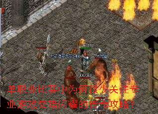 ��ְҵ������Ϊ�κ��ٹ�ערҵ��Ϸ������ҫ�Ĵ��湥�ԣ�