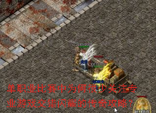 ��ְҵ������Ϊ�κ��ٹ�ערҵ��Ϸ������ҫ�Ĵ��湥�ԣ�