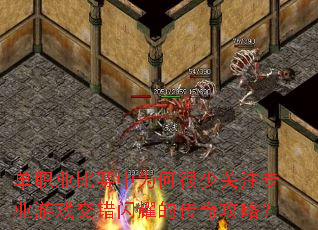 ��ְҵ������Ϊ�κ��ٹ�ערҵ��Ϸ������ҫ�Ĵ��湥�ԣ�