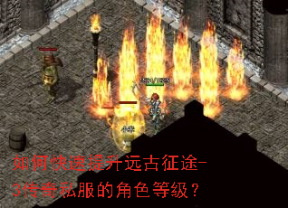 ��ο�������Զ����;-3����˽���Ľ�ɫ�ȼ���