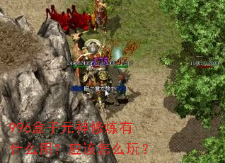 996����Ԫ��������ʲô�ã�Ӧ����ô�棿