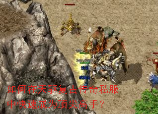 ������������Ŵ���˽���п��ٳ�Ϊ������֣�