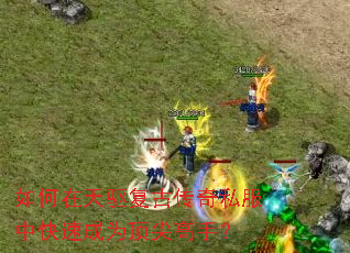 ������������Ŵ���˽���п��ٳ�Ϊ������֣�