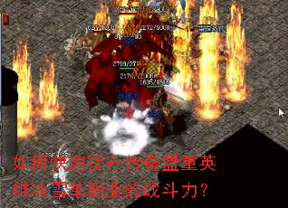 ��ο���������������Ӣ�۱�ѩ��ְҵ��ս������