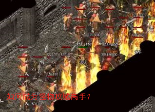 ��γ�Ϊ���﹥�Ǹ��֣�