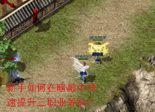 ��������ڰ����п���������ְҵ�ȼ���