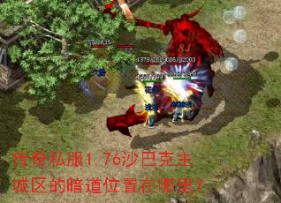 ����˽��1.76ɳ�Ϳ��������İ���λ�������