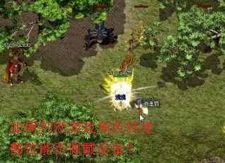 如何判断游戏角色特定部位能否佩戴装备? 如何判断游戏角色特定部位能否佩戴装备?