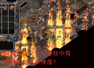 ��Խ�ָ�ڴ�����Ϸ������ЩBOSS���Ե��䣿