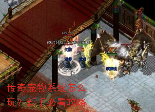 传奇宠物系统怎么玩?新手必看攻略 传奇宠物系统怎么玩?新手必看攻略