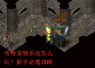 传奇宠物系统怎么玩?新手必看攻略 传奇宠物系统怎么玩?新手必看攻略