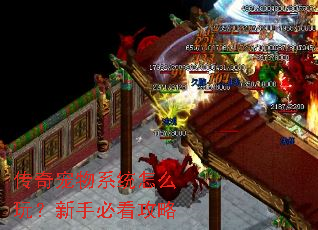 传奇宠物系统怎么玩?新手必看攻略 传奇宠物系统怎么玩?新手必看攻略