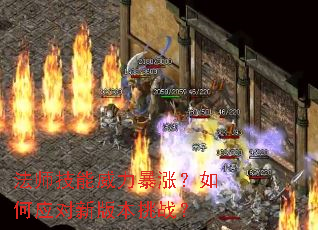 ��ʦ�����������ǣ����Ӧ���°汾��ս��