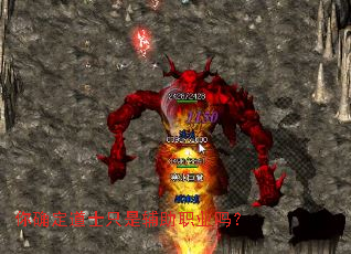 ��ȷ����ʿֻ�Ǹ���ְҵ��