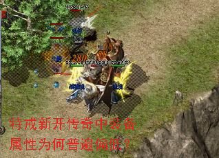 �ؽ��¿�������װ������Ϊ���ձ�ƫ�ͣ�