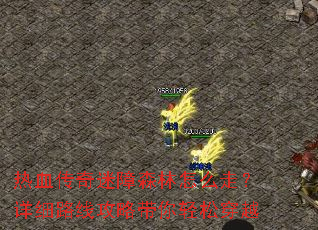 ��Ѫ��������ɭ����ô�ߣ���ϸ·�߹��Դ������ɴ�Խ