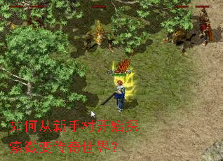 如何从新手村开始探索微变传奇世界? 如何从新手村开始探索微变传奇世界?