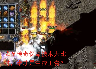 ��ʥ���汣���������ƴ��˭�����������ߣ�