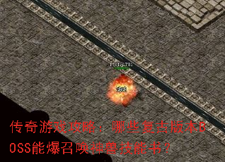 ������Ϸ���ԣ���Щ���Ű汾BOSS�ܱ��ٻ����޼����飿