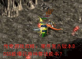 ������Ϸ���ԣ���Щ���Ű汾BOSS�ܱ��ٻ����޼����飿