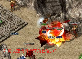 ��ο������������ɫ������