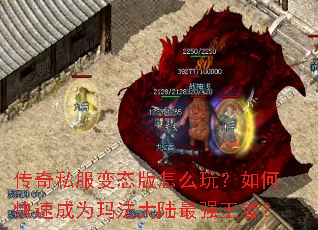 ����˽����̬����ô�棿��ο��ٳ�Ϊ�귨��½��ǿ���ߣ�