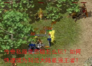 ����˽����̬����ô�棿��ο��ٳ�Ϊ�귨��½��ǿ���ߣ�