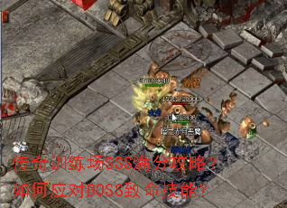 ����ѵ����SSS���ֹ��ԣ����Ӧ��BOSS�������ܣ�