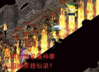 ����ٻ���ǿ���޳ư԰�������¼��