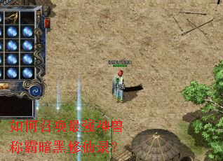 ����ٻ���ǿ���޳ư԰�������¼��