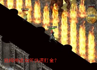 ������;��ο��ٴ��