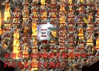 �������Ӧ���ཱི�Ĭ������BOSS����˫������ս��