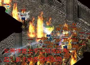 ��ο������ֽ��������������ֱؿ�����ָ��