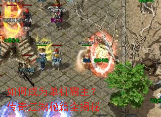 ��γ�Ϊ�������������潭���ؼ�ȫ����