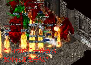 ��ο�������������Ϸ�еĽ�ɫ�ȼ���