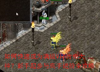 ��ο��ٳ�Ϊ����VIP�����������������ֽ���ȫ����