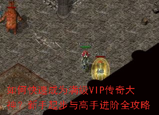 ��ο��ٳ�Ϊ����VIP�����������������ֽ���ȫ����