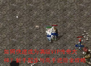 ��ο��ٳ�Ϊ����VIP�����������������ֽ���ȫ����