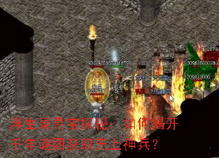 ����¼Ѱ��̽�أ���νҿ�ǧ�����Ż�ȡ���������