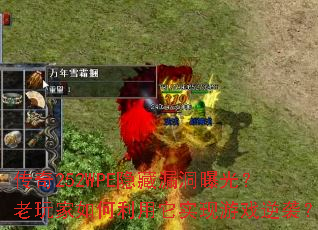 ����252WPE����©���ع⣿��������������ʵ����Ϸ��Ϯ��