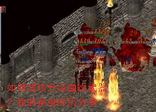 ��γɹ�����Ѫ���������ҵ�������������