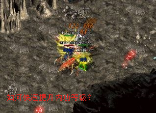 ��ο��������ڹ��ȼ���