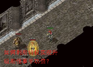 ���������Ȩʵ������ˢ���°빦����