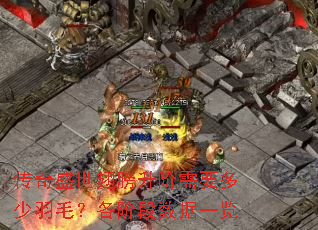 ����ʢ�����������Ҫ������ë�����׶�����һ��