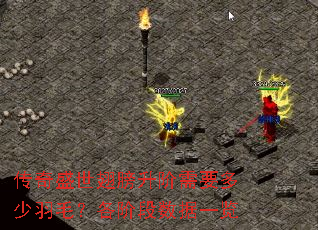 ����ʢ�����������Ҫ������ë�����׶�����һ��