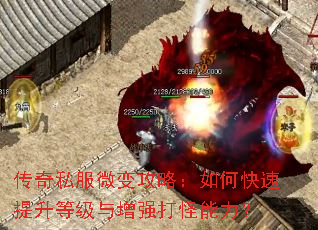 ����˽��΢�乥�ԣ���ο��������ȼ�����ǿ���������