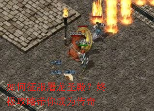 �����������ʥ��ռ����Դ����Ϊ����